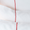 Image to render